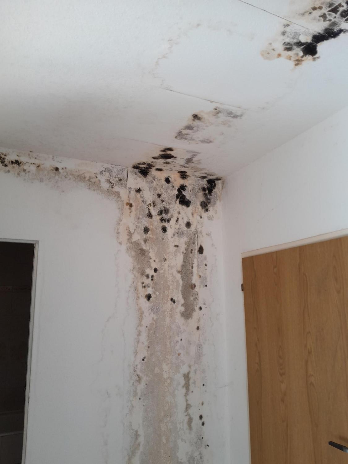 Schimmelbefall an Wand und Decke